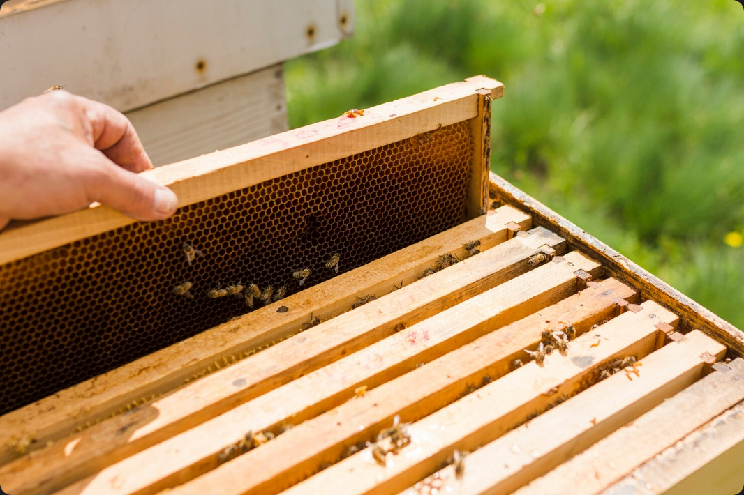 Cinematic honey visual